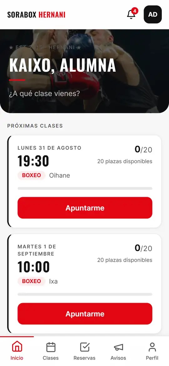 Inicio en castellano